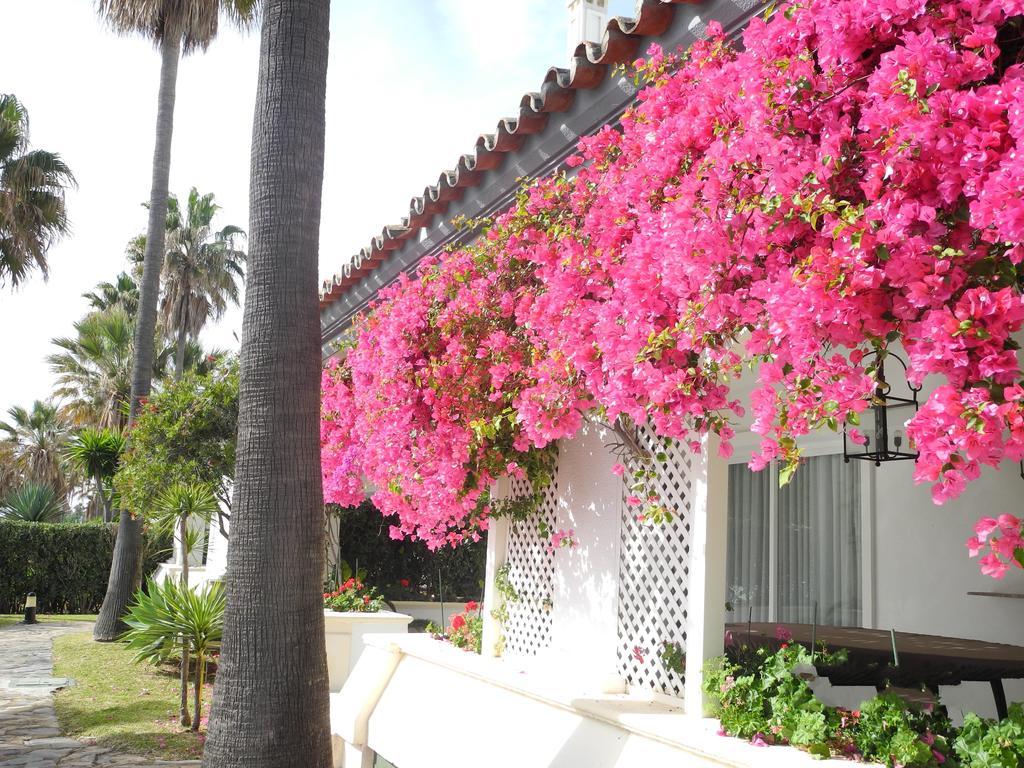 Dominion Apartments Estepona Exteriör bild